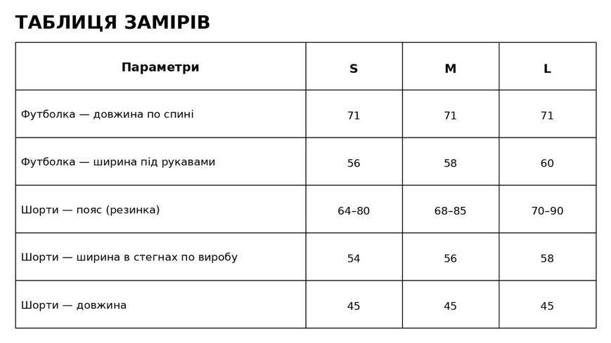 Костюм жіночий Aidin 201 футболка та шорти з нашивкою оверсайз чорний 201 фото