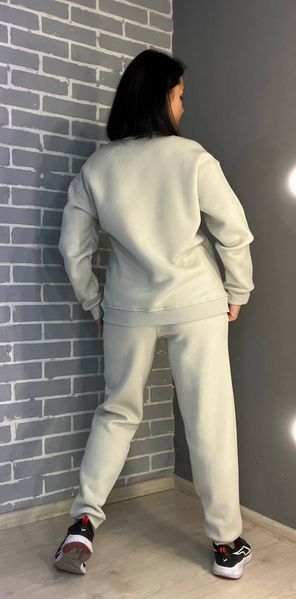 Штаны женские Pepper&mint 24-13 спортивные джоггеры резинка на талии утепленные светло серые 24-13 фото